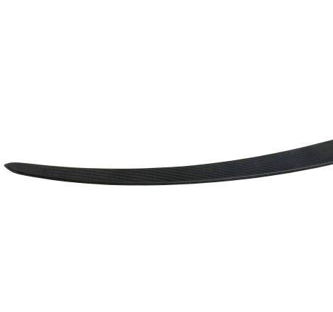 Spoiler Tesla Model 3 Carbon Fibre