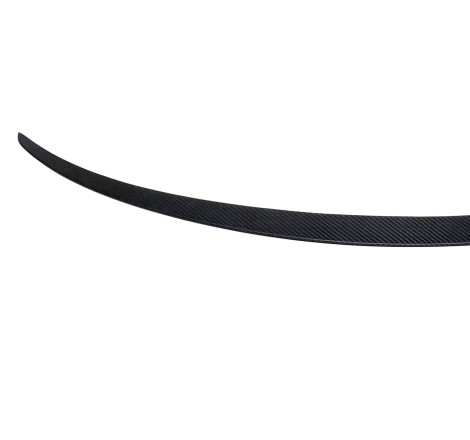 Spoiler Tesla Model 3 Carbon Fibre