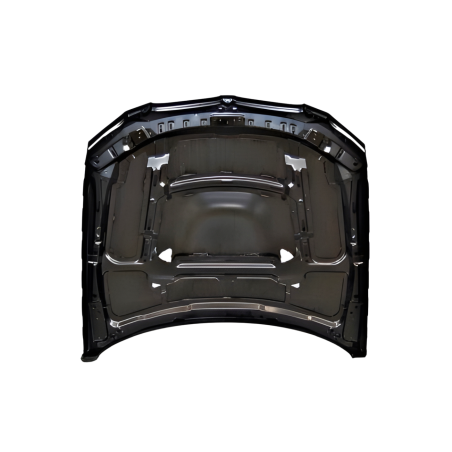 Bonnet BMW E92 / E93 06-09 Look M3 Metal