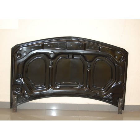 Capot Carbone Renault Megane 2003 S/T